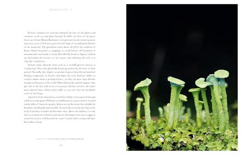 Entangled Life:  A Breathtaking Journey into the Hidden World of Fungi