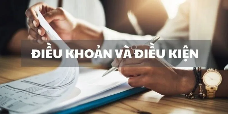 Chính sách cơ bản nhất về điều khoản điều kiện 