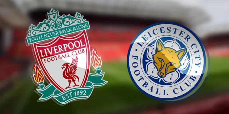 soi kèo liverpool vs leicester city gà vàng