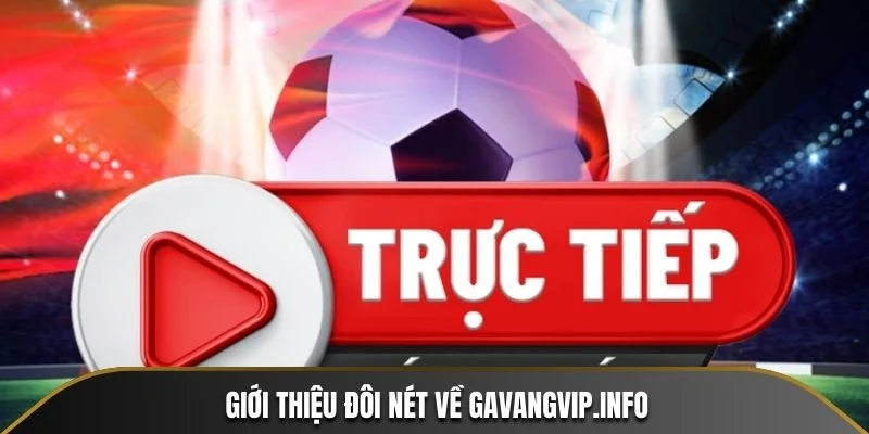 Giới thiệu đôi nét về Gavangvip.info