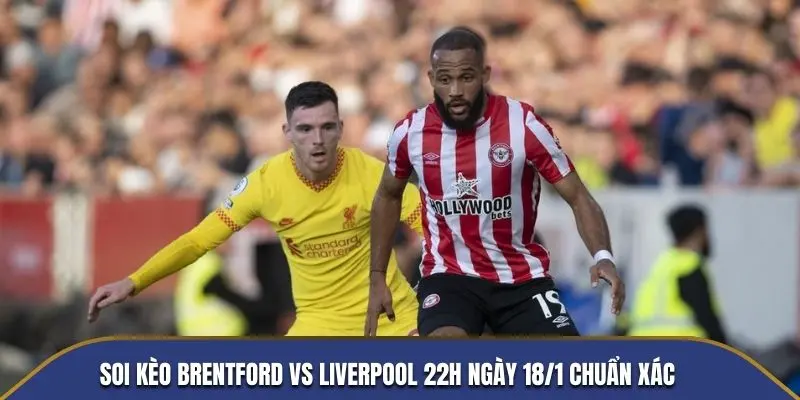 soi kèo brentford vs liverpool tại gà vàng tv